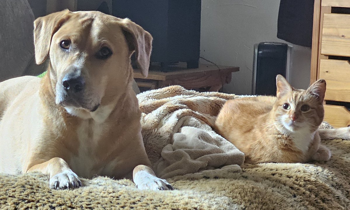 Monica from Wisconsin🇺🇸 tweet media