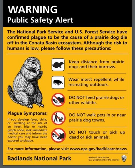 mn_cedars tweet media