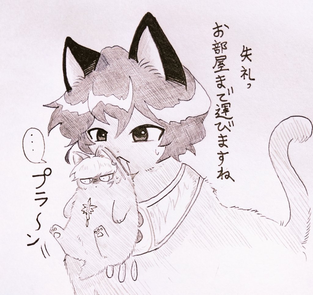 お嫁ちゃん tweet media