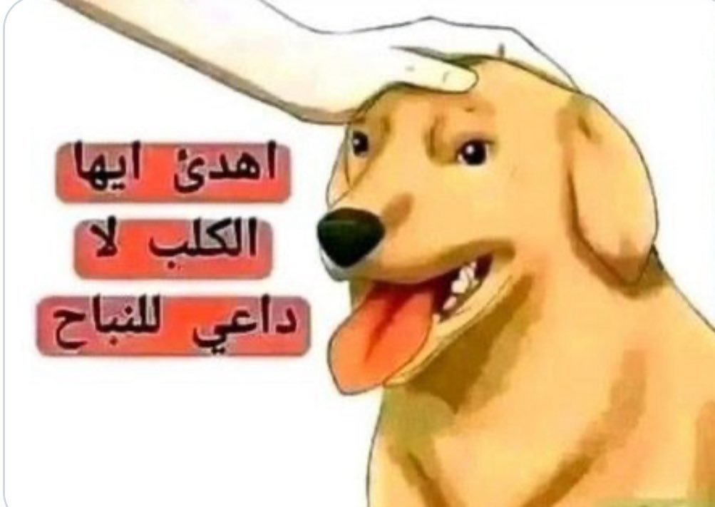 سيف الوطن tweet media