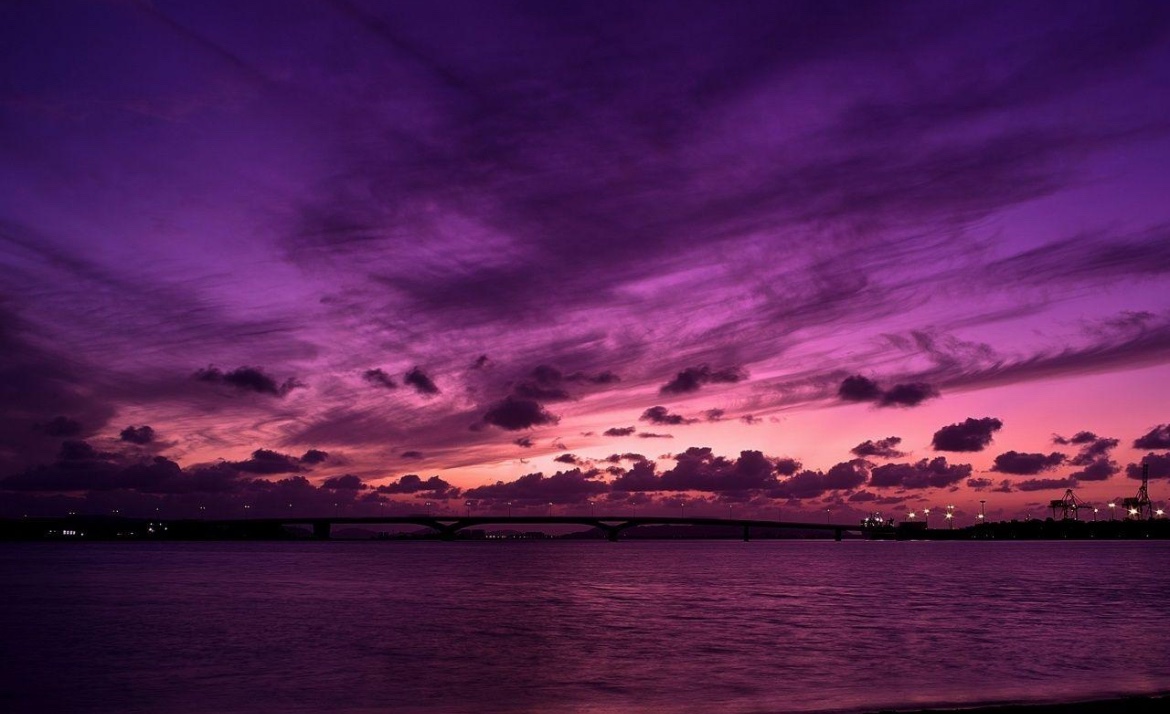 Mr. Fam | לִמֻּדַי tweet media