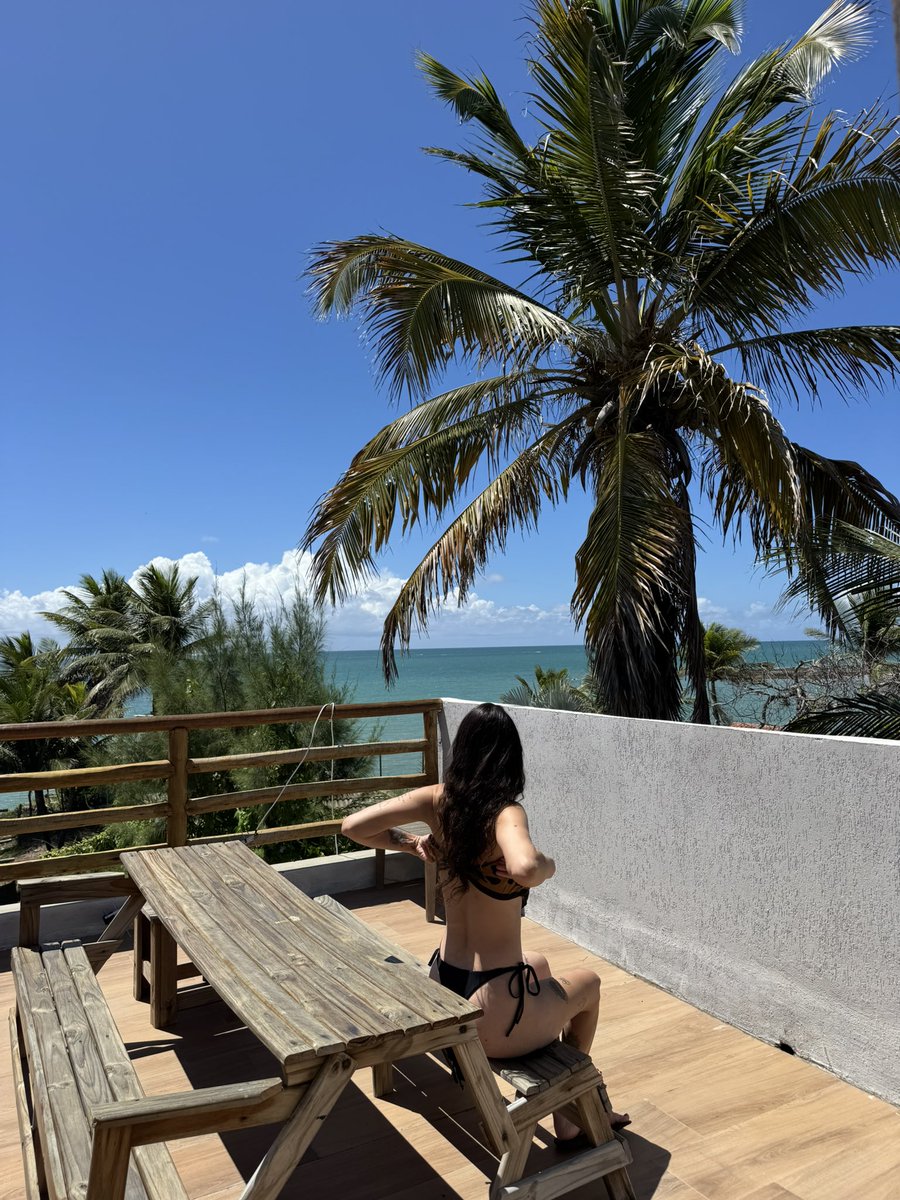 a neta da maria da conceição tavares tweet media