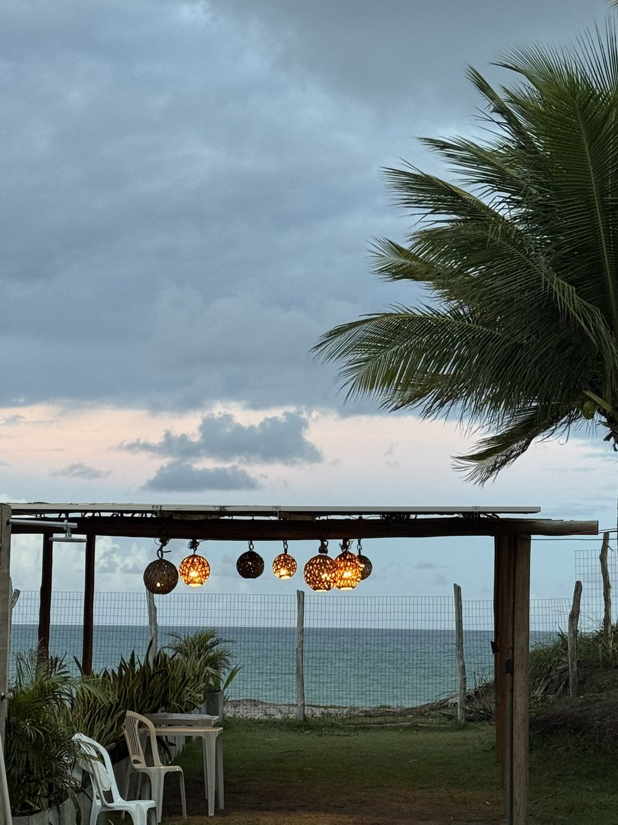 a neta da maria da conceição tavares tweet media