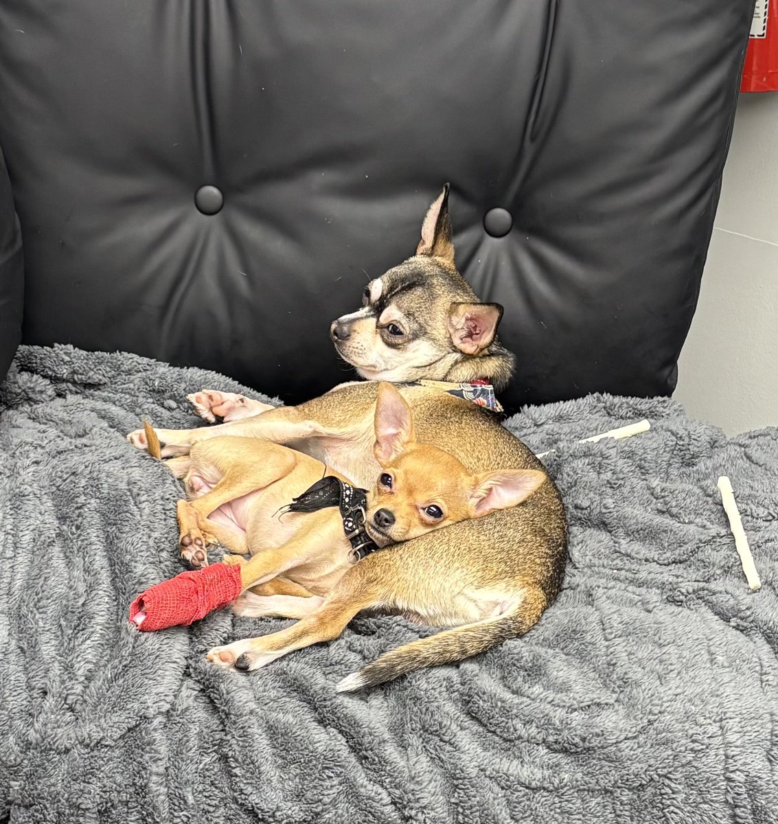 iamthatgal_com's tweet photo. Check out LaurieAnn Campbell's video! #TikTok https://t.co/Mqj5pm734n https://t.co/0dArc9nYMj