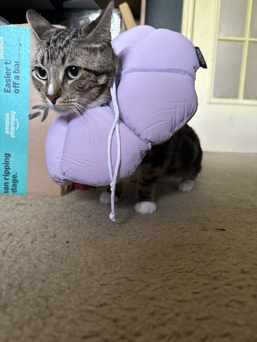 Sidhe | 18+ Kelpie VTuber 👾| NA VArtist tweet media