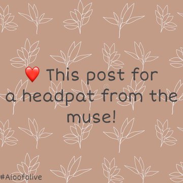 Ⓙⓞⓗⓝ Ⓟⓡⓘⓒⓔ tweet media