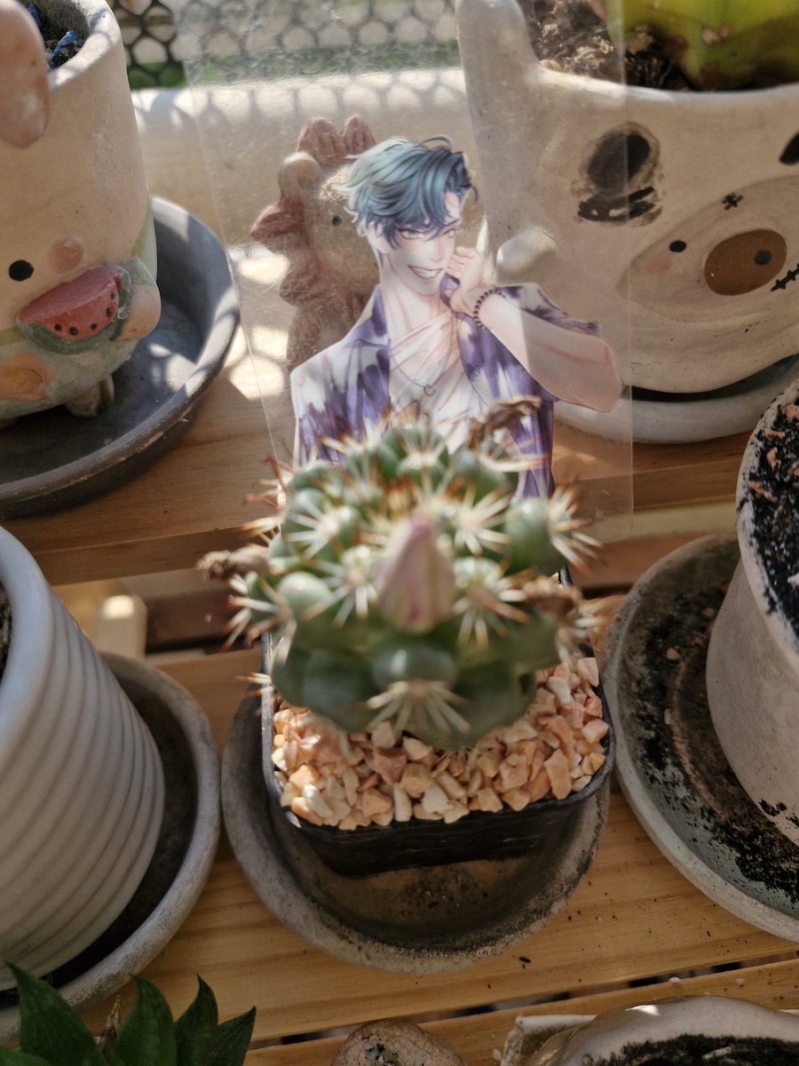 ʚ文賢_문현_𝓖ഒ⌕ᯅ누나 ⁷♥ɞ 789 🕉️ tweet media