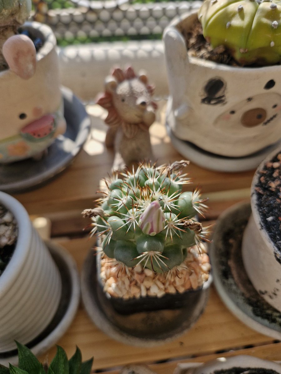 ʚ文賢_문현_𝓖ഒ⌕ᯅ누나 ⁷♥ɞ 789 🕉️ tweet media