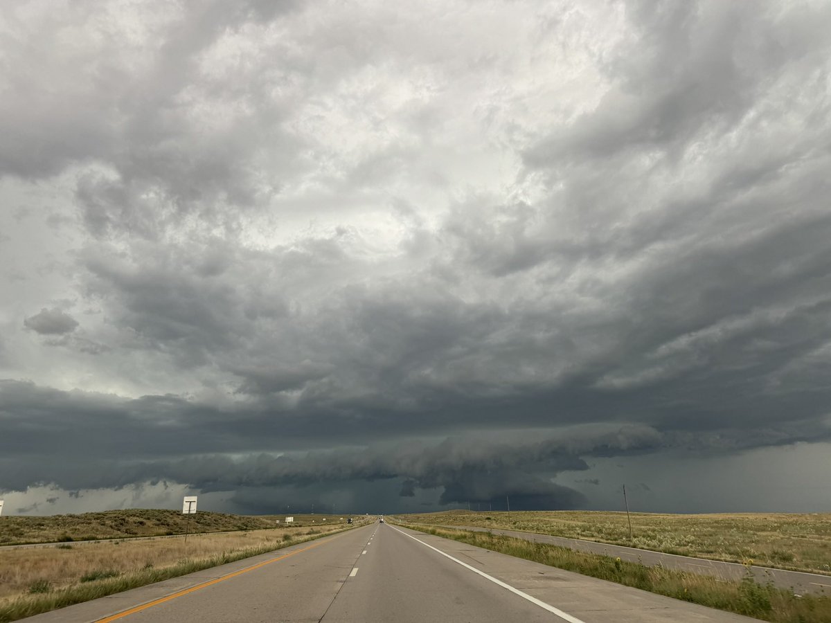 ZitoSalena tweet media