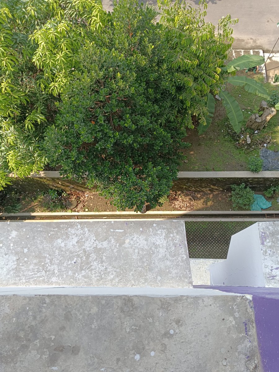 𝕴𝖑𝖙𝖆𝖒𝖆𝖙𝖗𝖆 tweet media