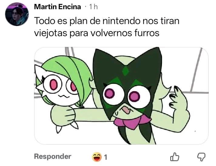 Kimu 🐱🌿 tweet media