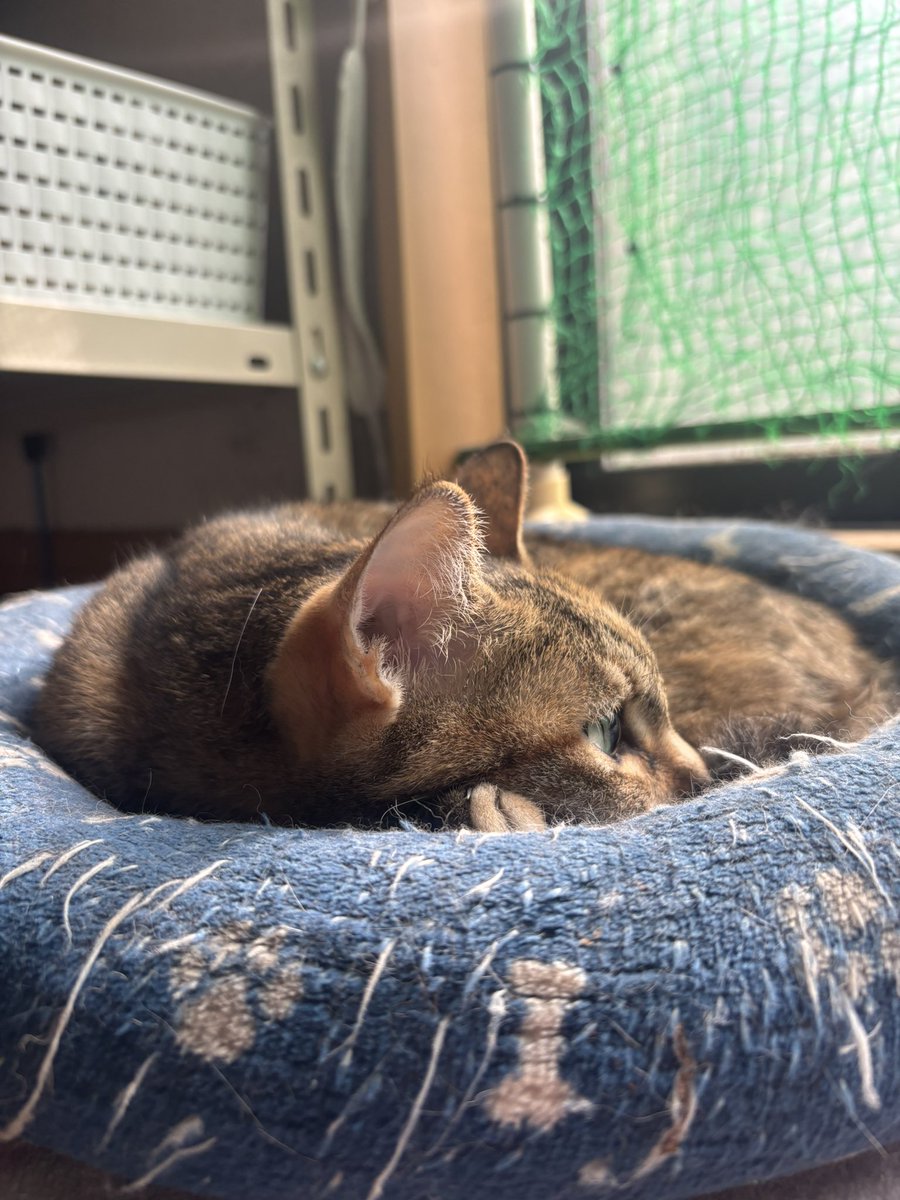 Pvjunior tweet media