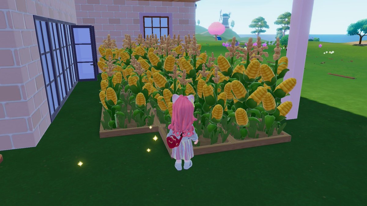 あまるき🍥 tweet media