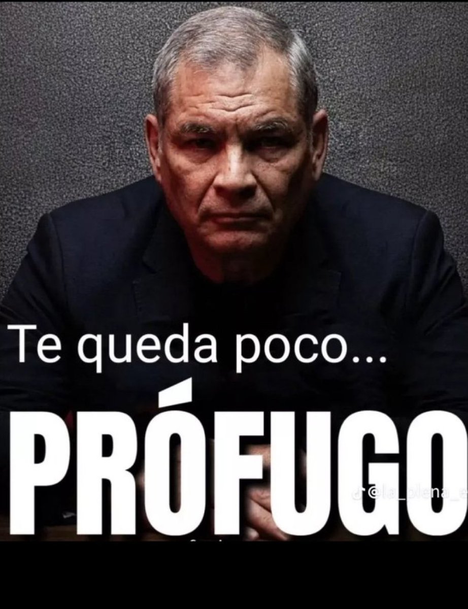 Flash News 🇪🇨⚡️ tweet media