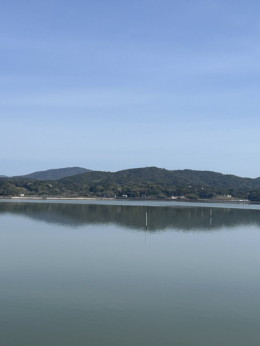 ひろぼん tweet media