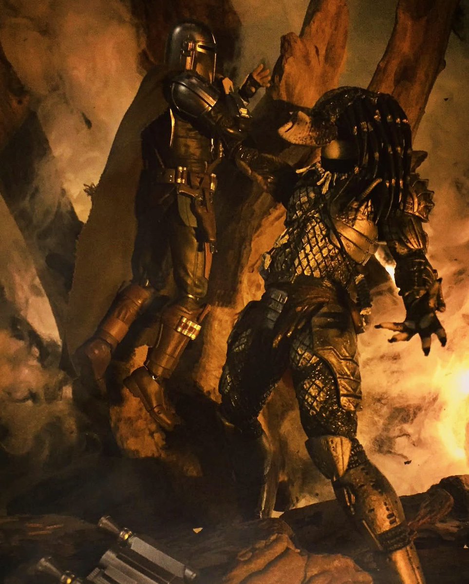 RAINBIRD tweet media