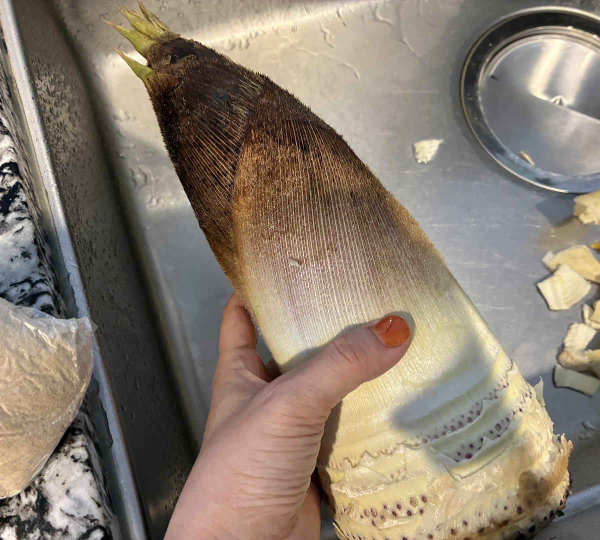 かたこりのしゅふ tweet media