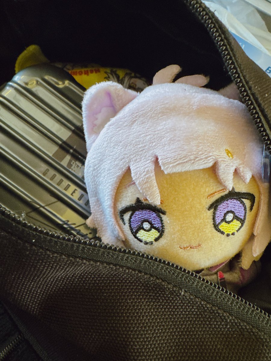 猫又にゃーすあ🍙🐈☃️ tweet media