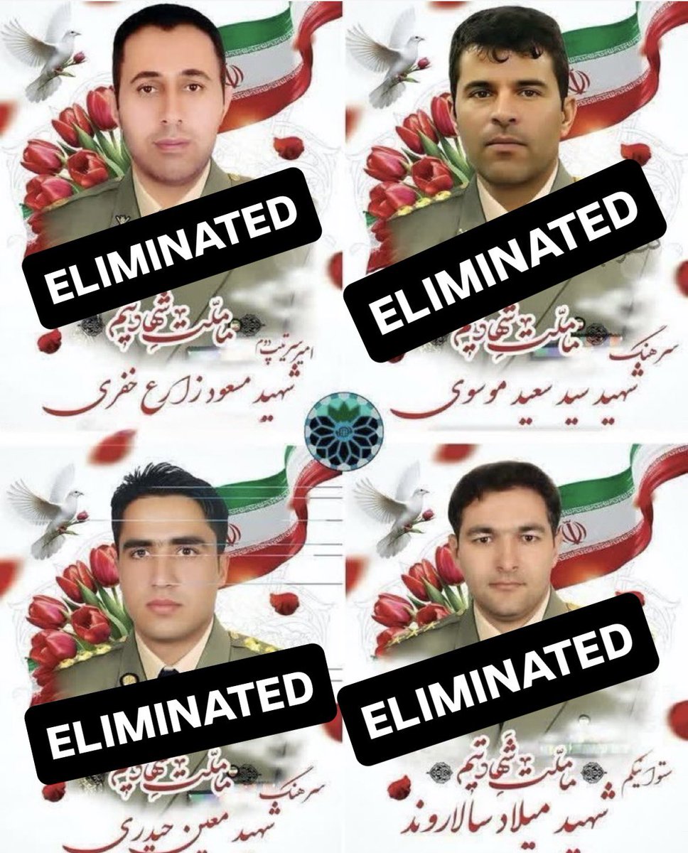 Vivid.🇮🇱 tweet media