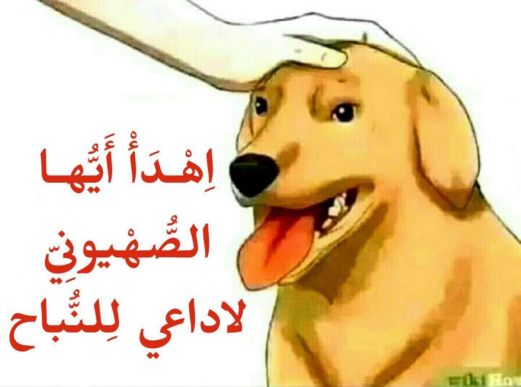 أبو إلياس tweet media