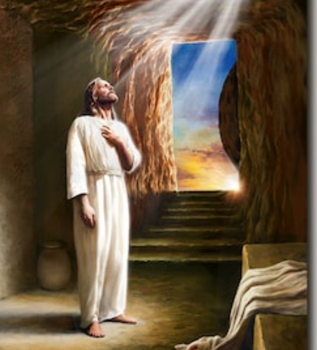 Nomadic mama The Arctic Menace🌲🪔🇮🇱 tweet media