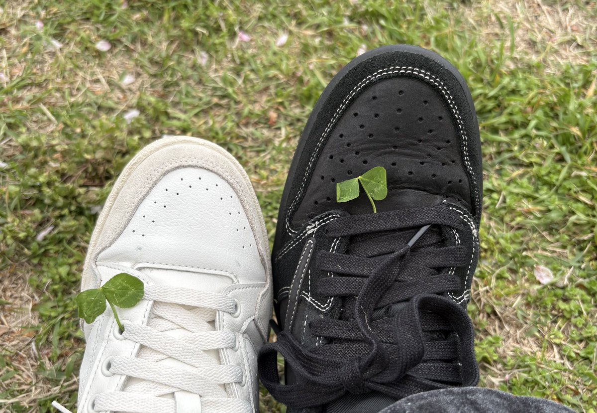 もちこ🌱 tweet media