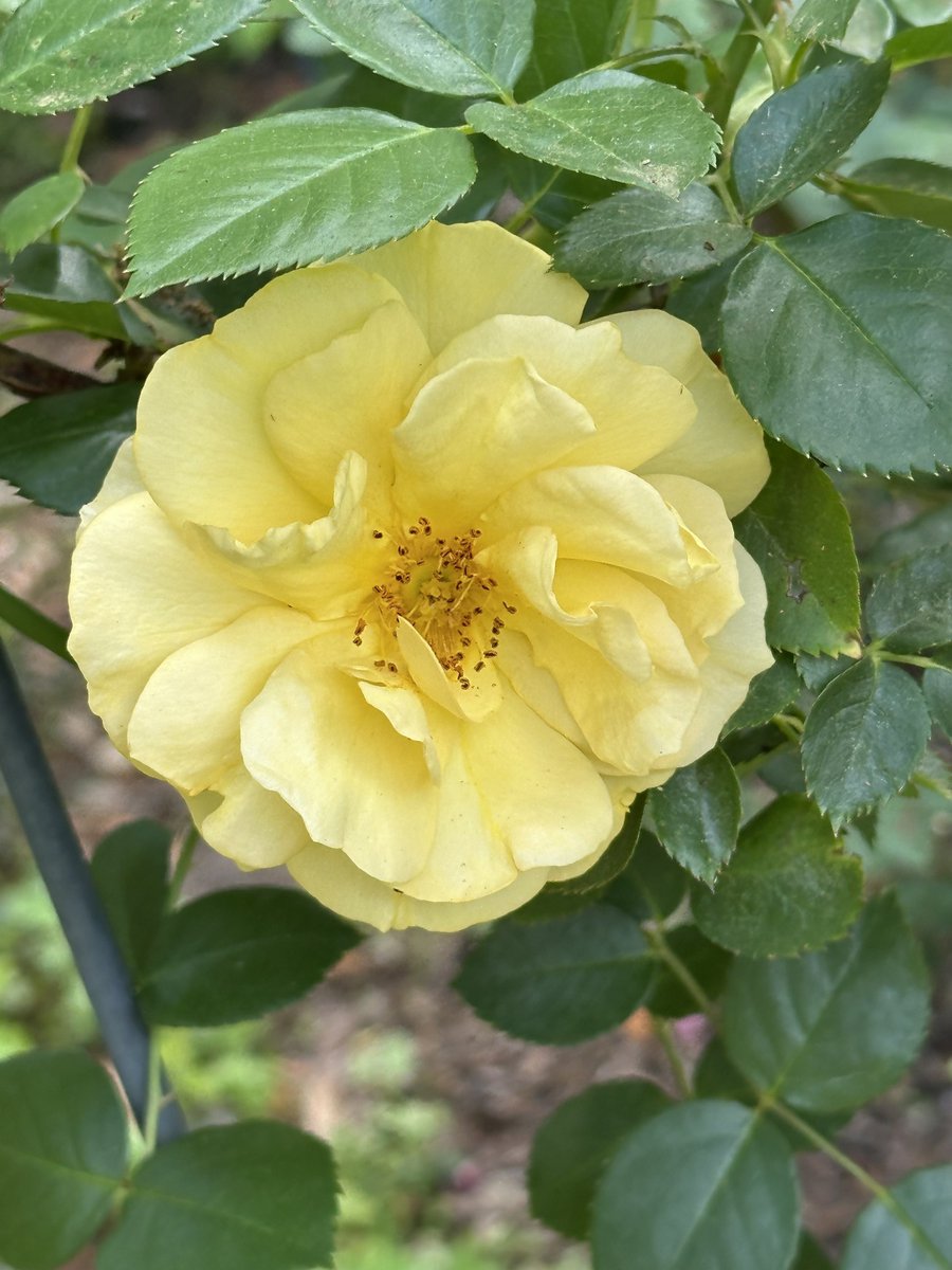 Patrick Skinner tweet media