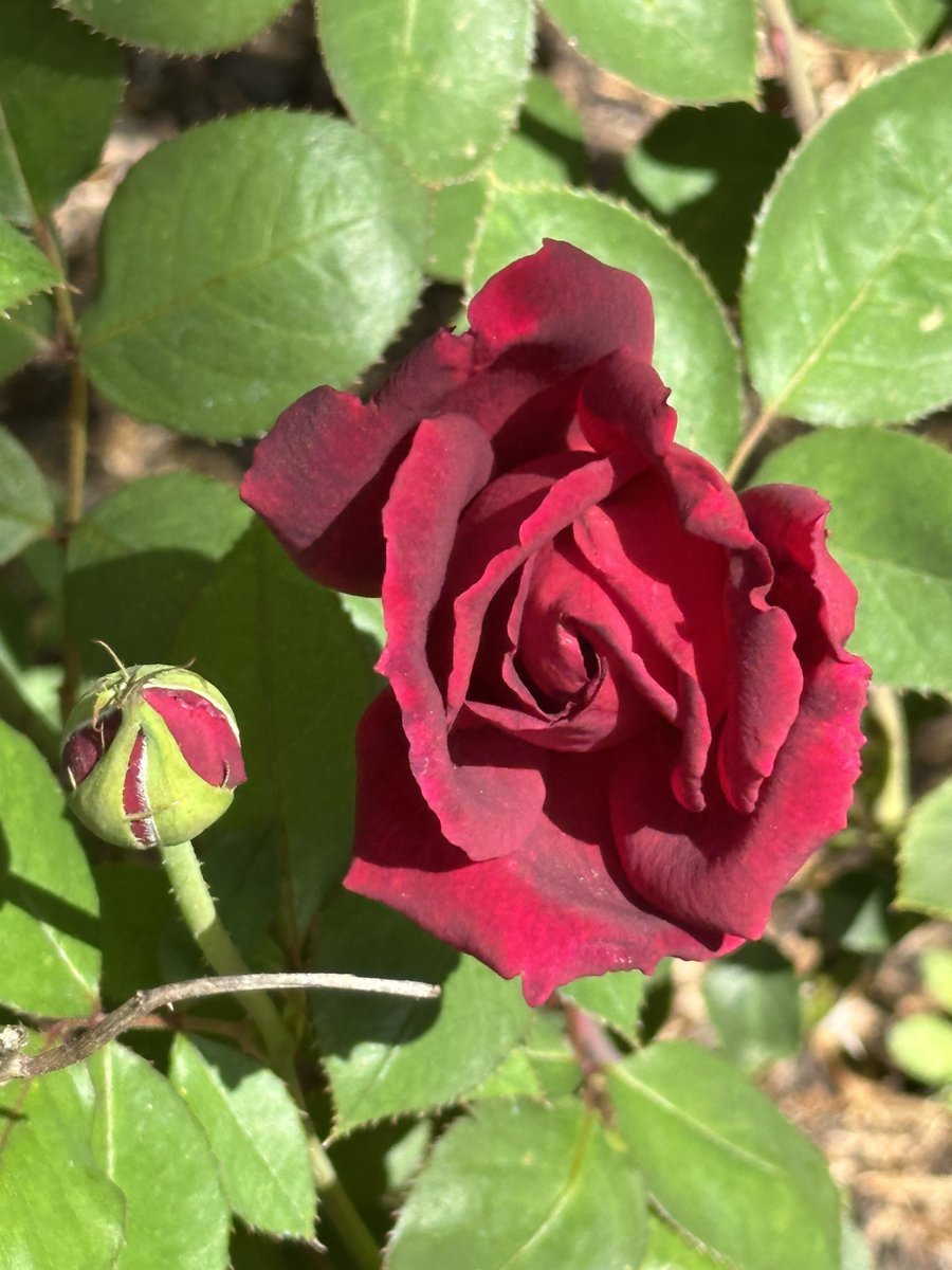 Patrick Skinner tweet media