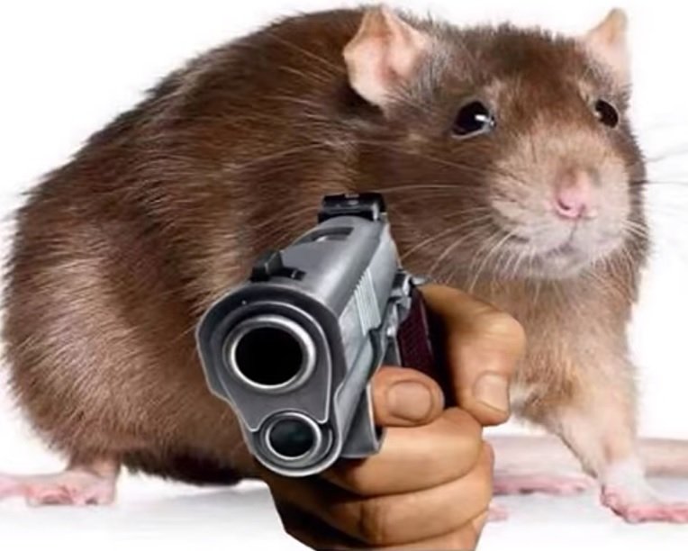 YouWinAFREEiPOD tweet media