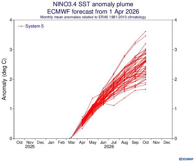 Dylan Federico tweet media