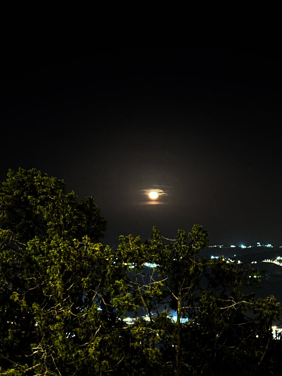 Abdul Latif bin Jory | عبداللطيف بن جعري tweet media