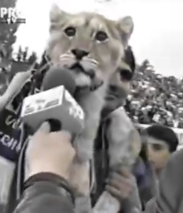 i do not serve cunt, i am cunt's servant tweet media