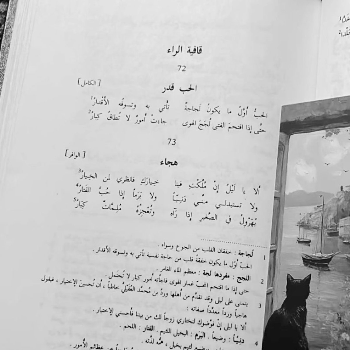 no nickname tweet media