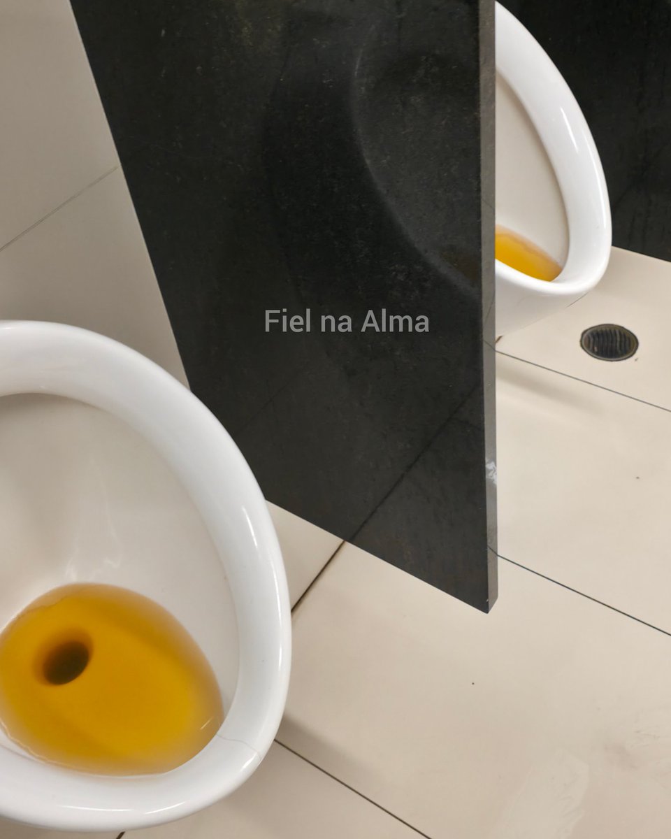 Fiel Na Alma tweet media