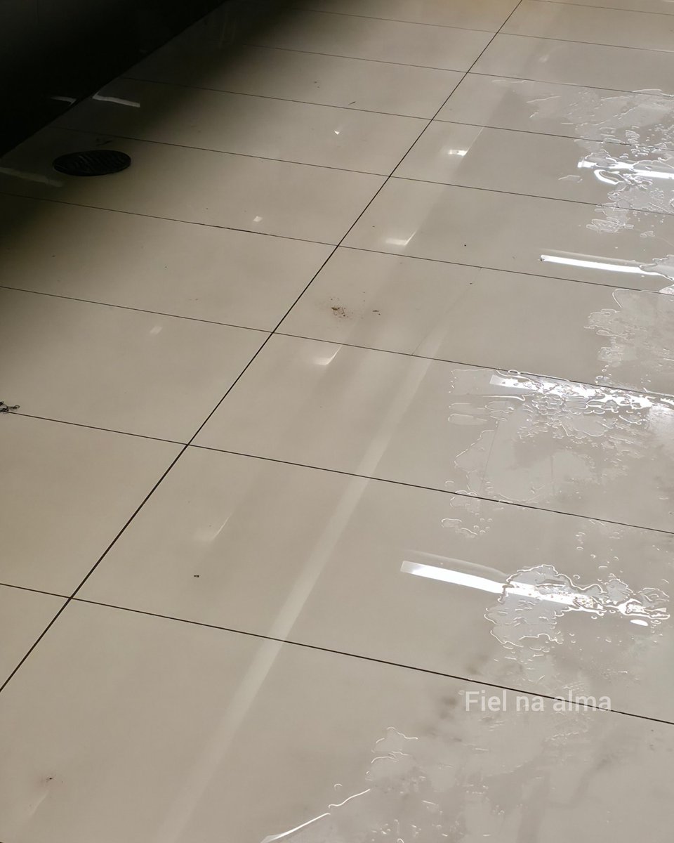 Fiel Na Alma tweet media