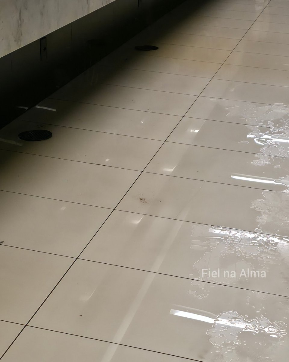 Fiel Na Alma tweet media