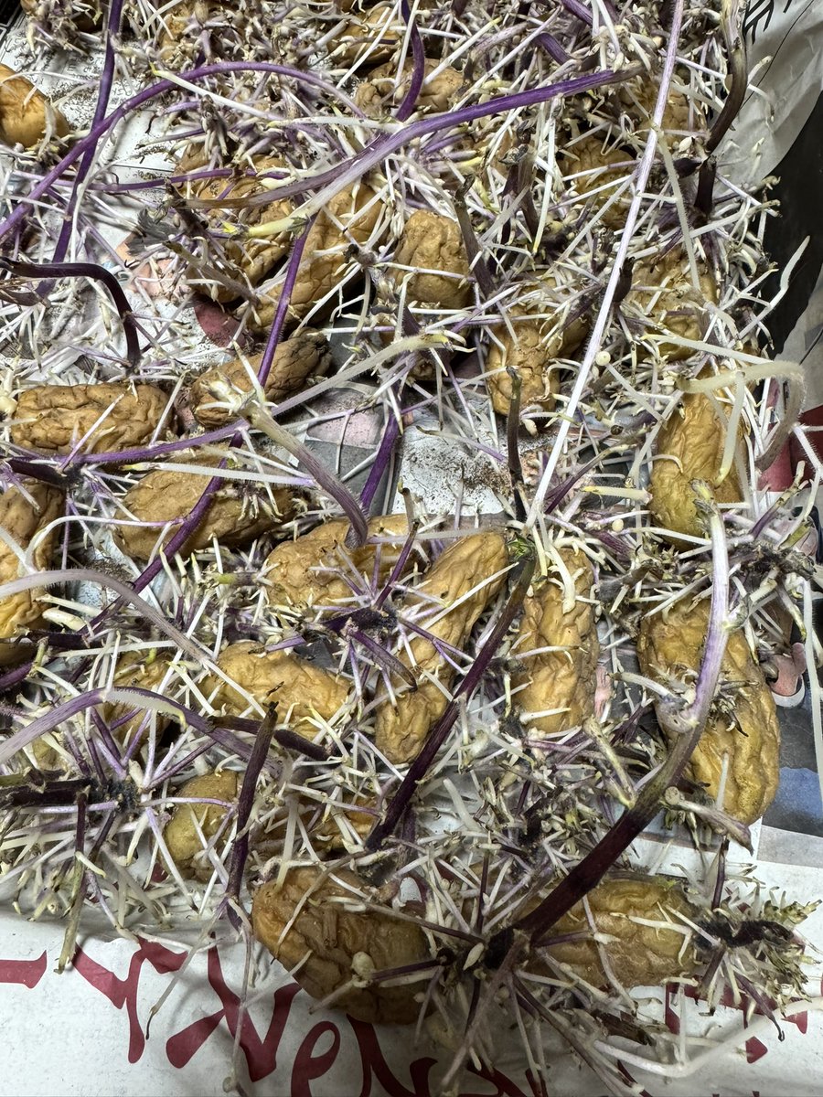 🦋aki_mms♪🦋 tweet media