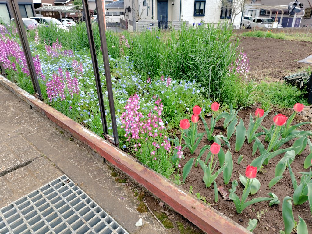 simple_chillife's tweet image. ライブ終わって2日目
今日から仕事

まだまだあの興奮の熱が冷めない

Mr.Childrenが
私の心を掴んで離さない❤️‍🔥

あーこの心の興奮をどこにもってけば
いいのやらと

めったに早起きしないのに
朝散歩なんてして
気持ちおさえてる
外の空気を吸いながら

Mr.Childrenの音楽と一緒に♬

＃Mr.Children