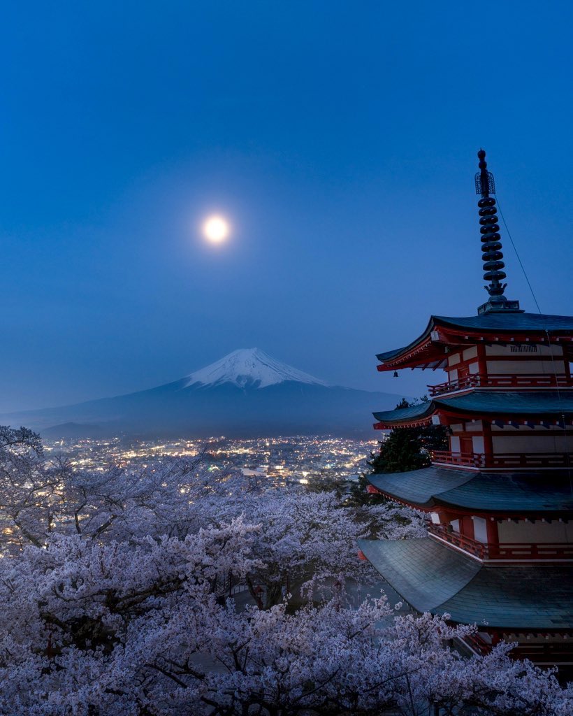 ポムの蒼。(ポムノアオ) tweet media