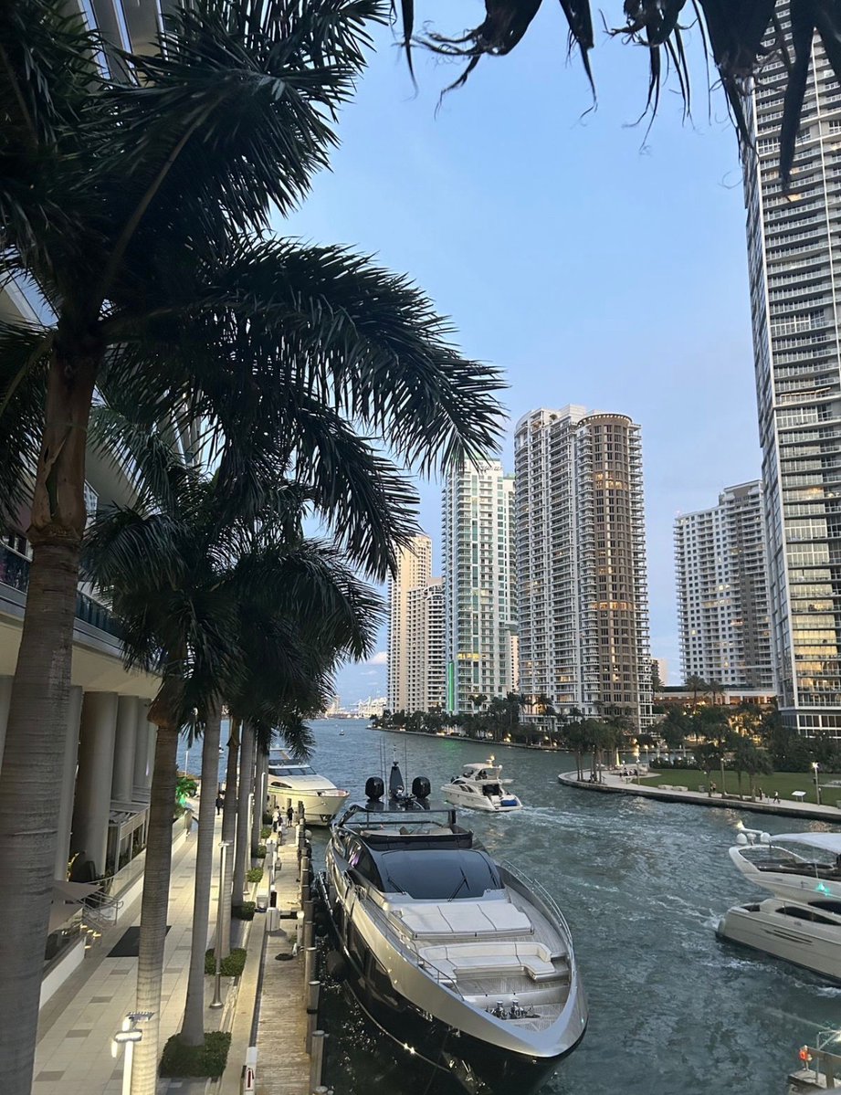 WORLD 2026 🌊 tweet media