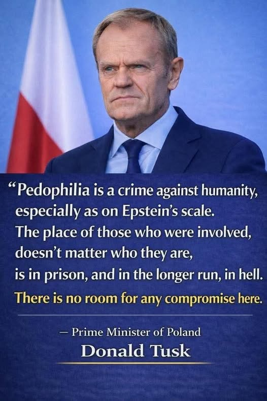 elseagee 🟧 🌊 🌊 🌊🎨 🎸 tweet media