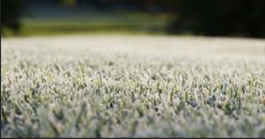 Arbor Trace Golf Club tweet media
