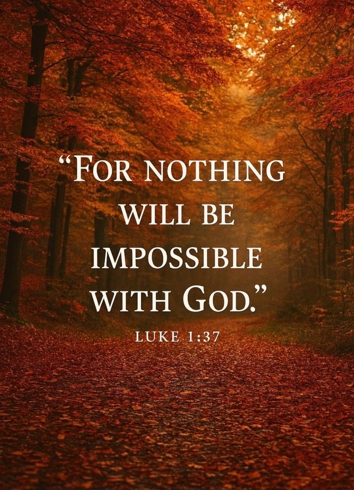 Aesthetic.Guyy tweet media