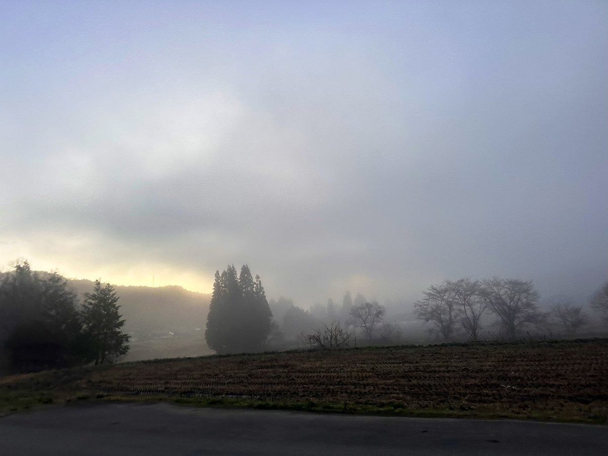 take_2DESU's tweet image. もう2人自分が欲しい（定期）

朝ランtotal 20㌔
（ｱｯﾌﾟ2㌔　100x3  15㌔　ﾀﾞｳﾝ3㌔）

#STEPN
#STEPNGO
#朝ラン
#ランニング

今週も頑張りましょう！！