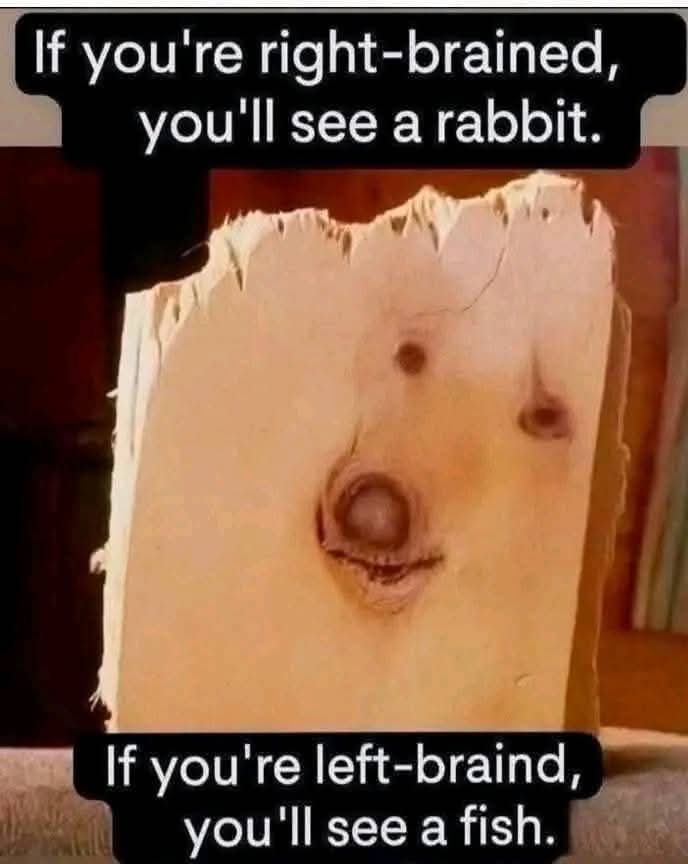 Kristina Bolten tweet media