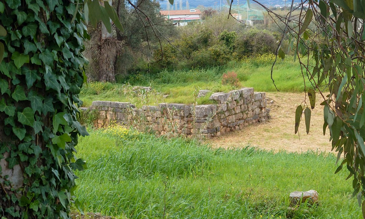 ふたば tweet media