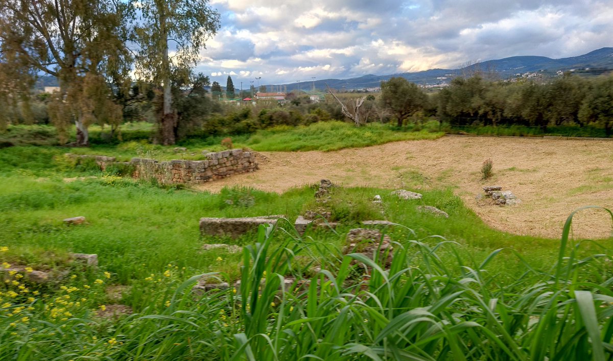 ふたば tweet media