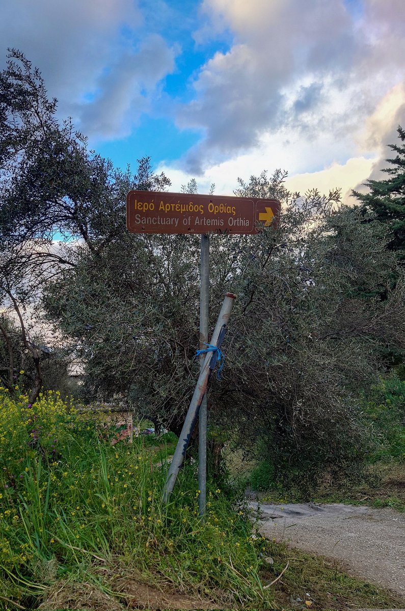 ふたば tweet media