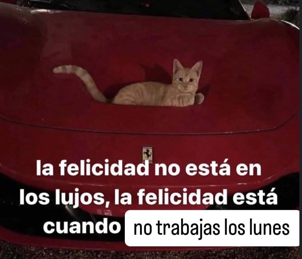 skereunpesado's tweet photo. https://t.co/D9bz1dXZ2i