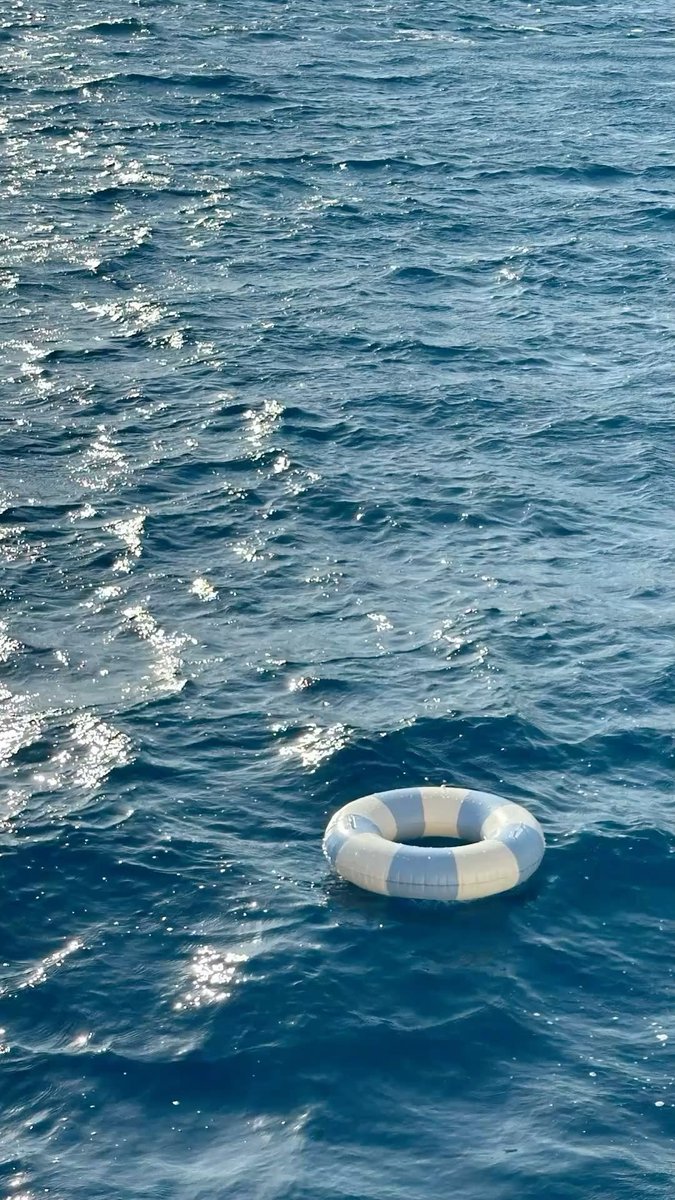 landspace tweet media